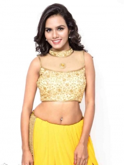 Beige Bhagalpuri Silk Zari Embrodiered, Lace Blouses