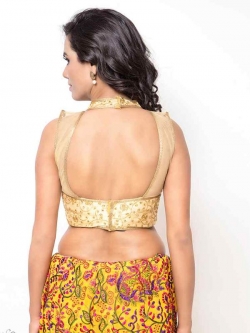 Beige Bhagalpuri Silk Zari Embrodiered, Lace Blouses