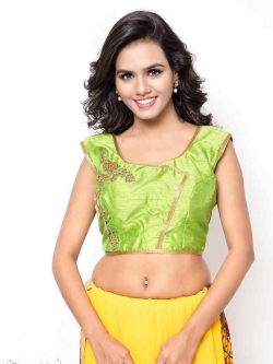 Green Bhagalpuri Silk Zari Work, Golden Lace, Stone Work Blouses