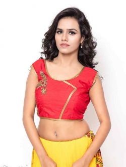 Red Bhagalpuri Silk Zari Work, Golden Lace, Stone Work Blouses