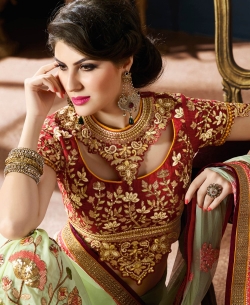 Green Net & Chiffon Zari, Thread Embroidered, Sequins, Stone Work, Lace Border Designer Sarees