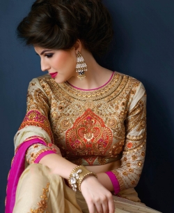 Beige Net & Shimmer Georgette Zari, Thread Embroidered, Sequins, Stone Work, Lace Border Designer Sarees