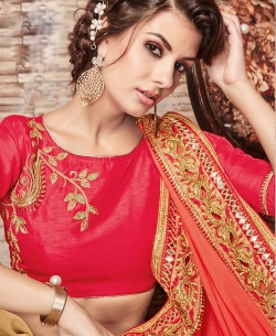 Red Chinnon Chiffon Embroidery
 Designer Sarees