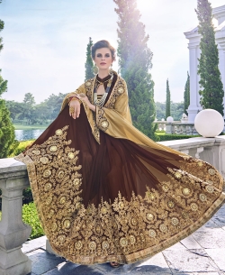 Golden Foil Georgette Heavy Embroidery Work Half And Half Sarees