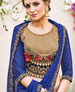 Blue Chiffon Plain Border Sarees