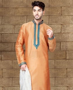Chikoo Art Dupion Embroidery Kurta Pajama
