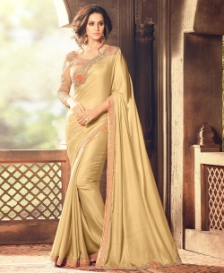 Khaki Crepe Silk Zari, Thread Embroidered Bordered, Stone Work Designer Sarees