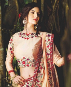 Off White Chiffon Embroidery Border Sarees