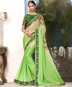Light Green Chiffon Embroidery Border Sarees