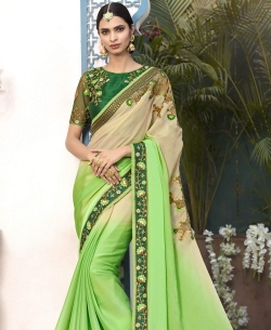 Light Green Chiffon Embroidery Border Sarees