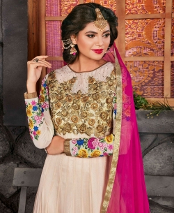 Cream Net Zari, Resham Embroidered, Lace Border, Stone Work Anarkali Suits