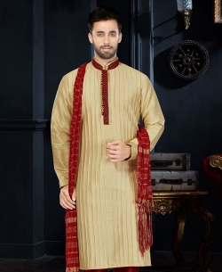 Beige Dupion Art  Silk Lace Border Kurta Pajama