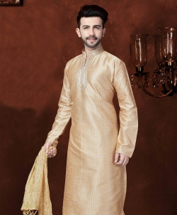 Beige Art Dupion Embroidery Kurta Pajama