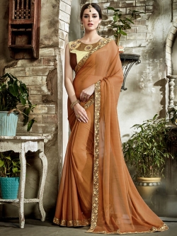 Light Brown Fancy Fabric Embroidery Border Sarees
