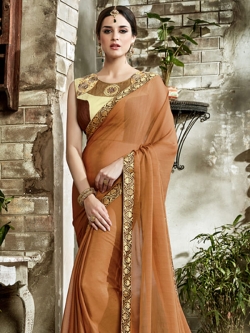 Light Brown Fancy Fabric Embroidery Border Sarees