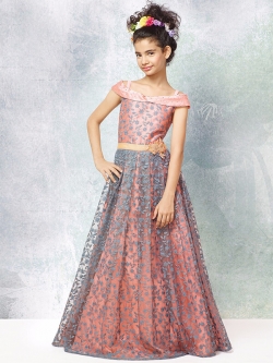 Powder Pink & Gray Net & Silk Thread Embroidery Girls Gown