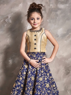 Cream Channai Silk Zardoshi.Pari.Stone With Embrodiry Work Girls Gown