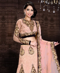 Pink Net Embroidered A-line Lehengas