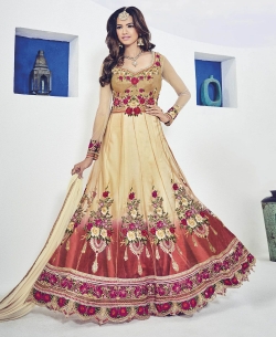 Beige Net Embroidered Anarkali Suits