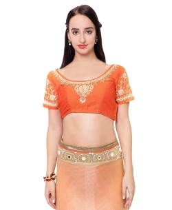 Beige And Orange Lycra, Net Mirror Work Designer Sarees