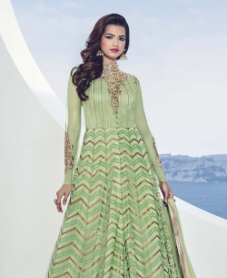 Light Green Net Embroidered Gowns